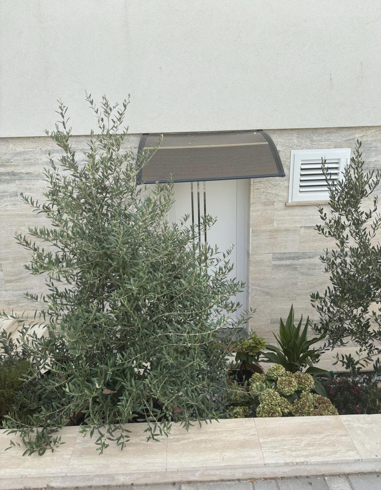 Vila Regina Apartment Paloma With Swimming Pool Jezera Dış mekan fotoğraf